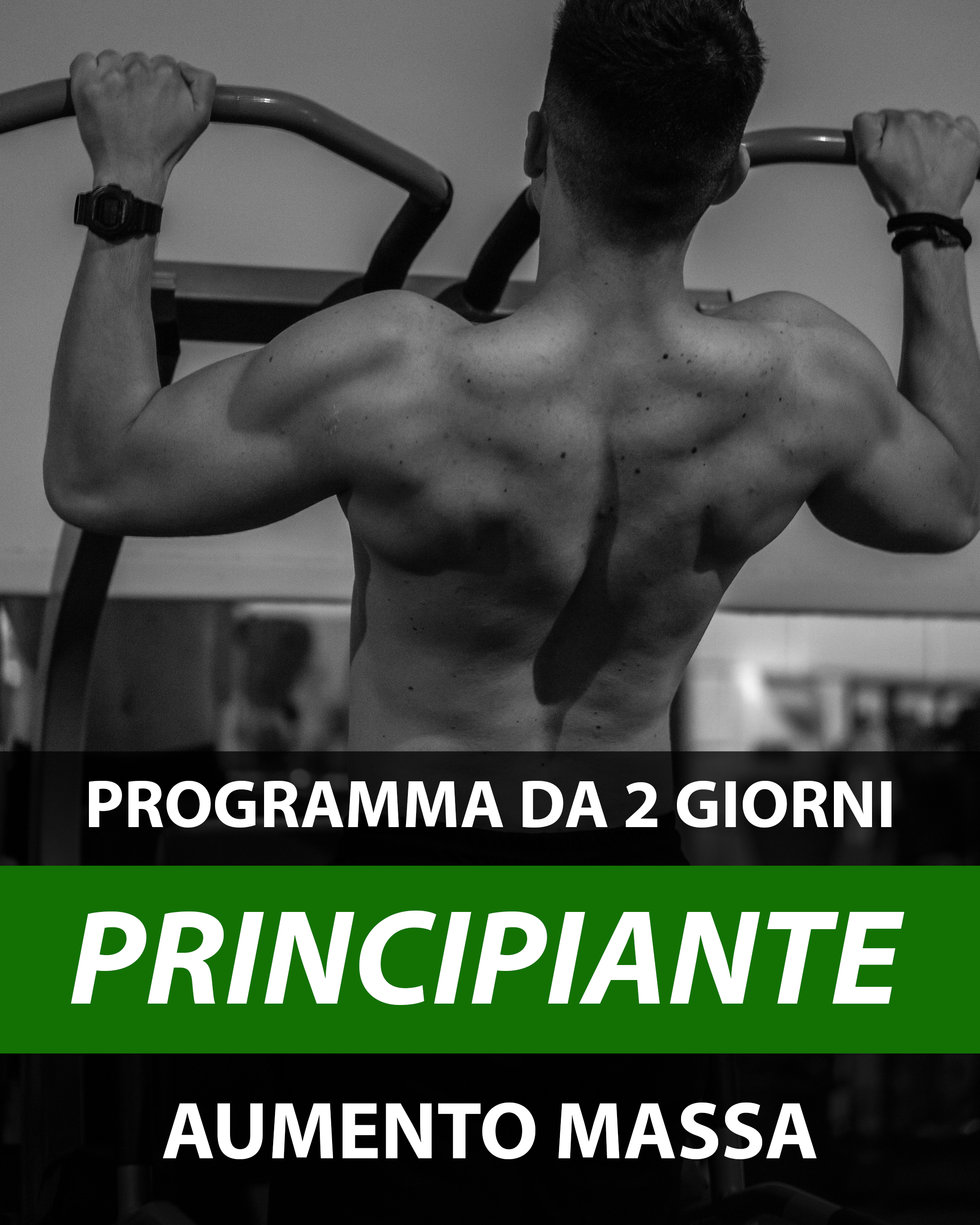 2GG PRINCIPIANTE MASSA