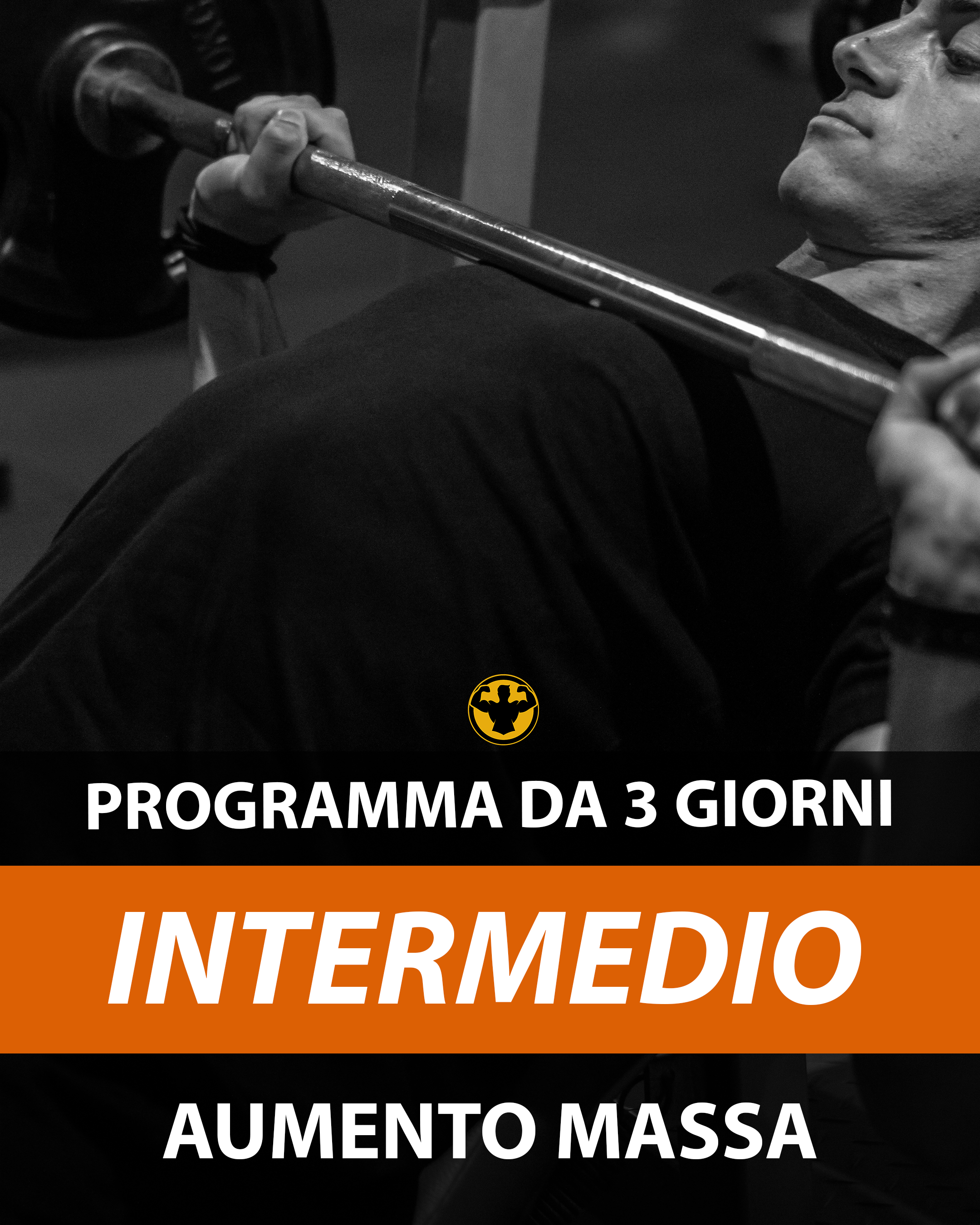 3GG INTERMEDIO MASSA