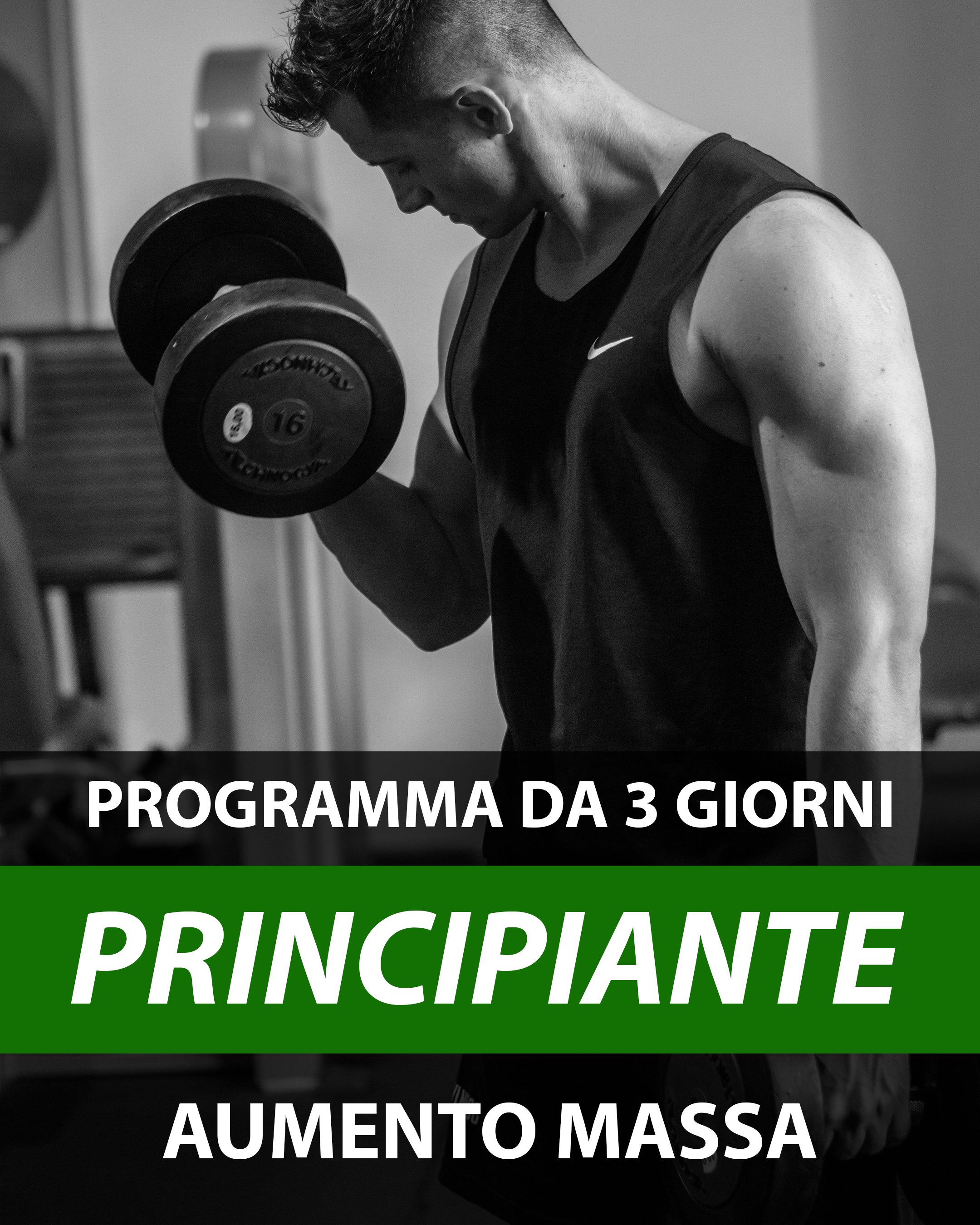 3GG PRINCIPIANTE MASSA