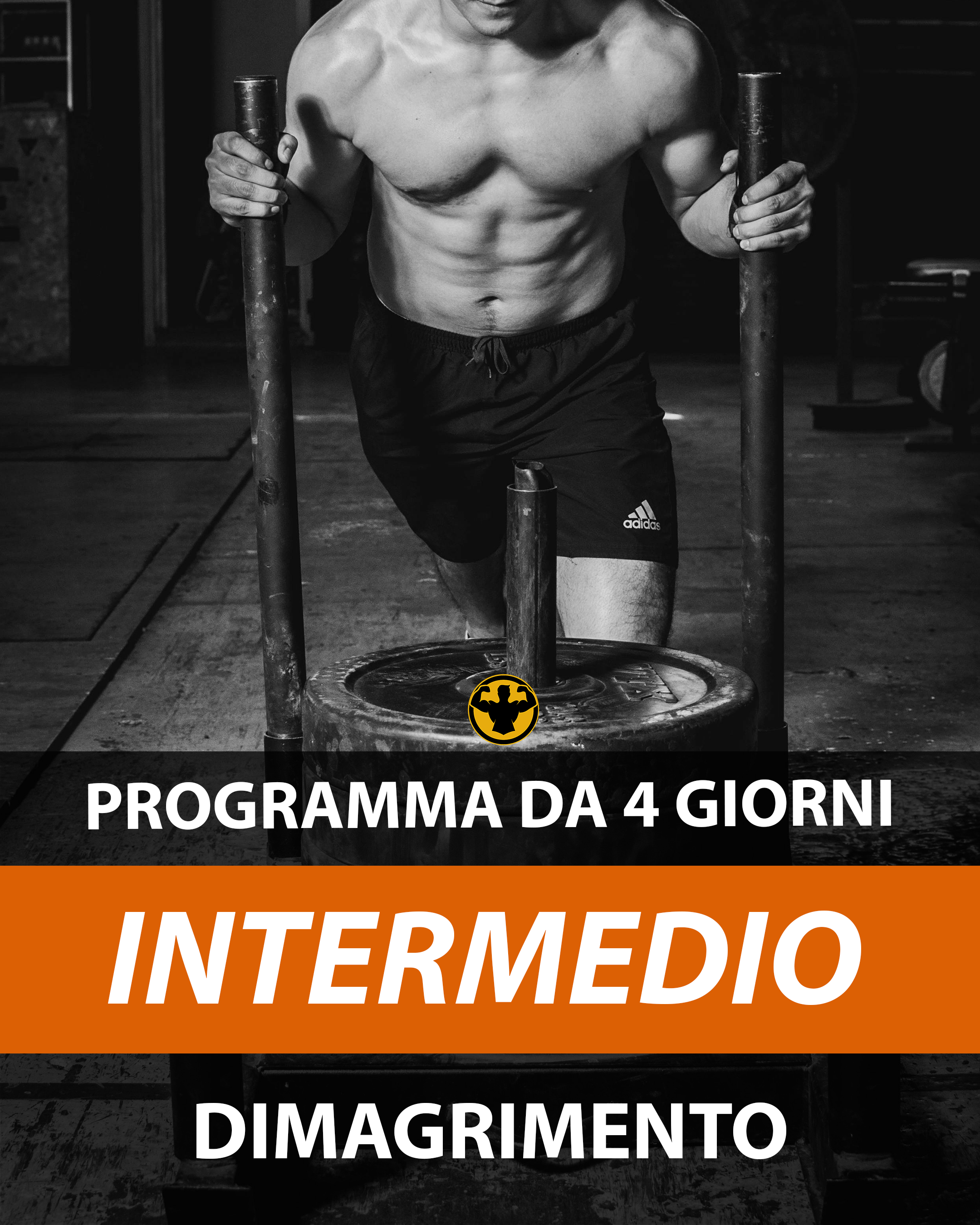 4GG INTERMEDIO DIMAGRIMENTO